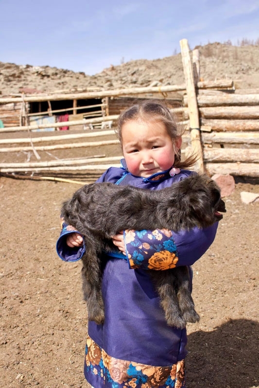 mongolisches kind mit ziege
